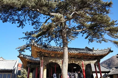 万佛阁建筑与院落实景